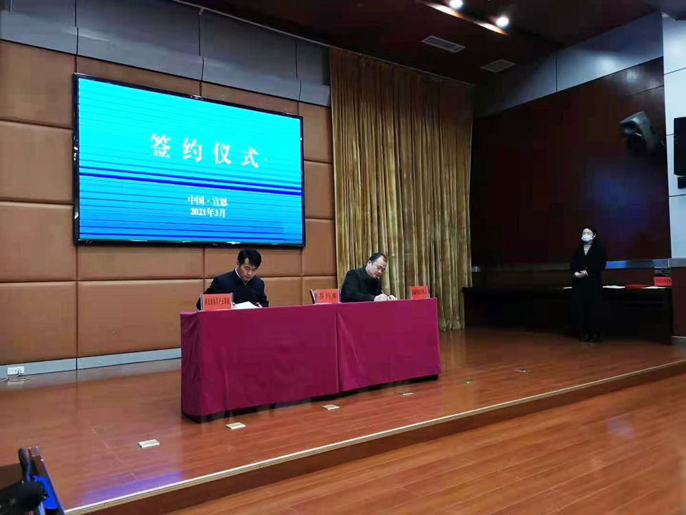 沙巴体育